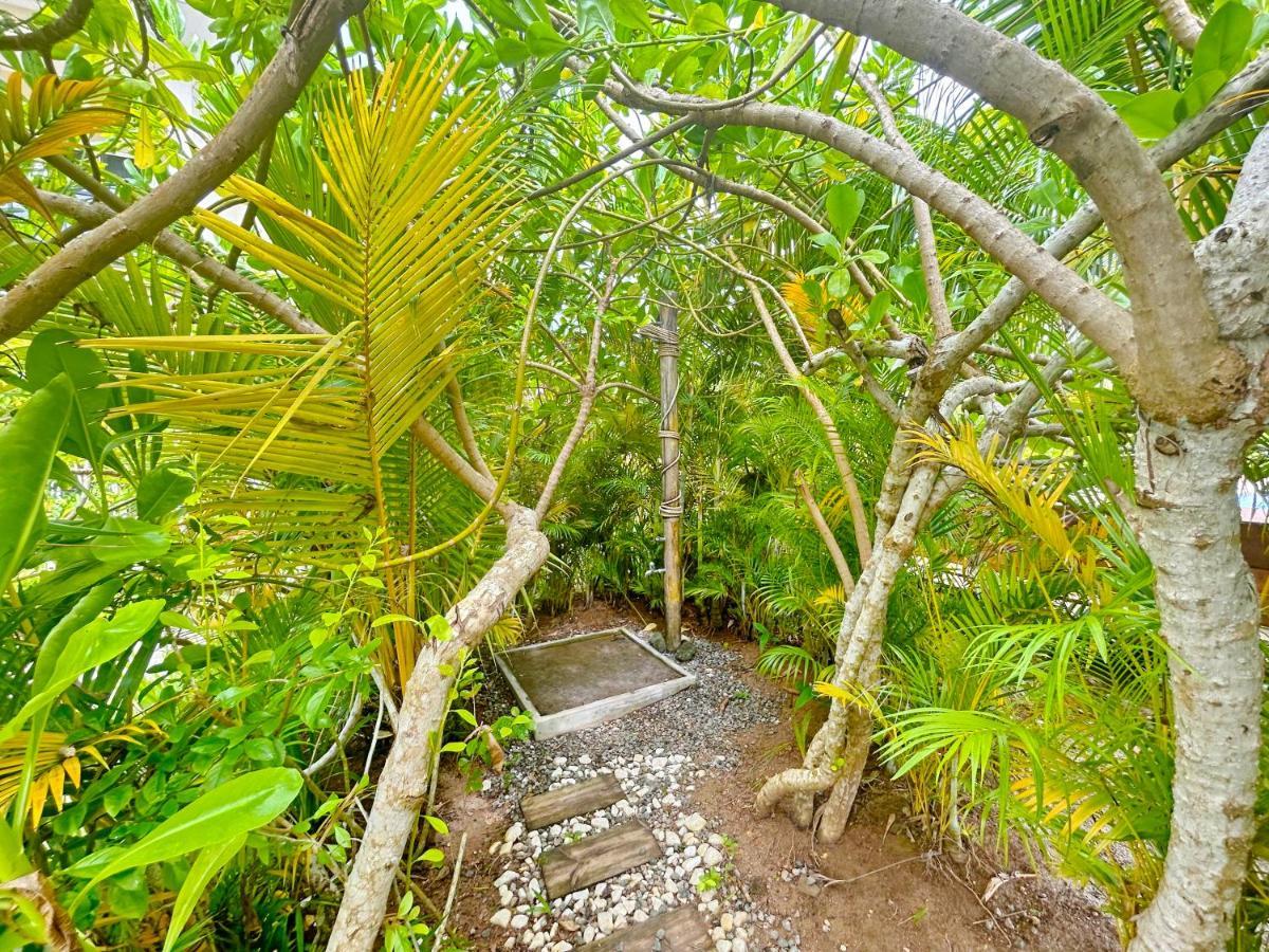 The Seaboards Apartments Seychelles Anse Royale Eksteriør billede